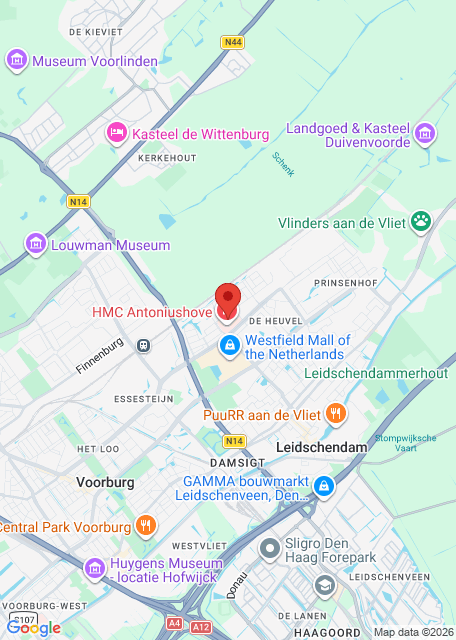 Google maps image for HMC Antoniushove