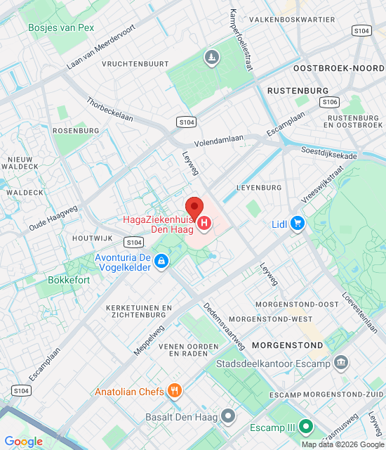 Google maps image for Apotheek HagaZiekenhuis Leyweg
