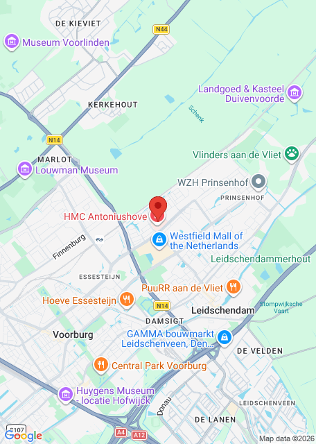 Google maps image for HMC Antoniushove