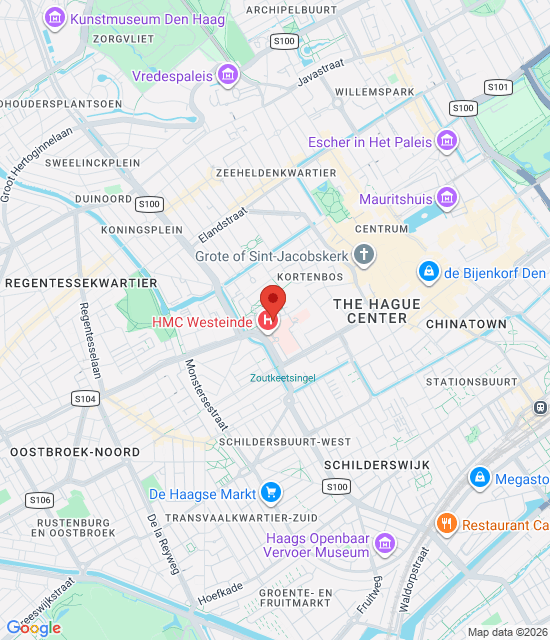 Google maps afbeelding voor Locatie in HMC Westeinde