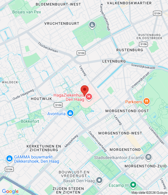 Google maps afbeelding voor Apotheek HagaZiekenhuis Leyweg